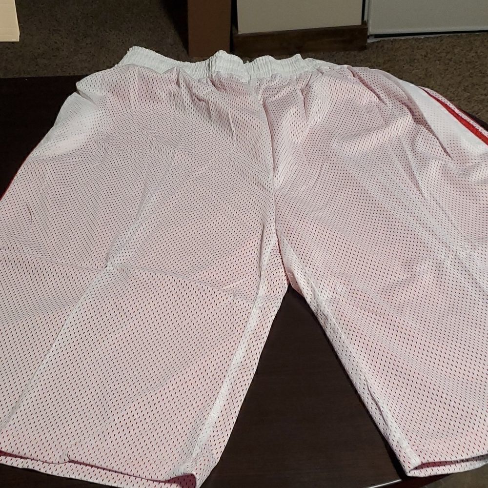 Men's Double Layered Mesh Shorts Big & Tall
